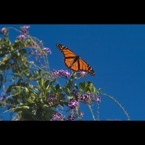 Meet your Posher, Ruby